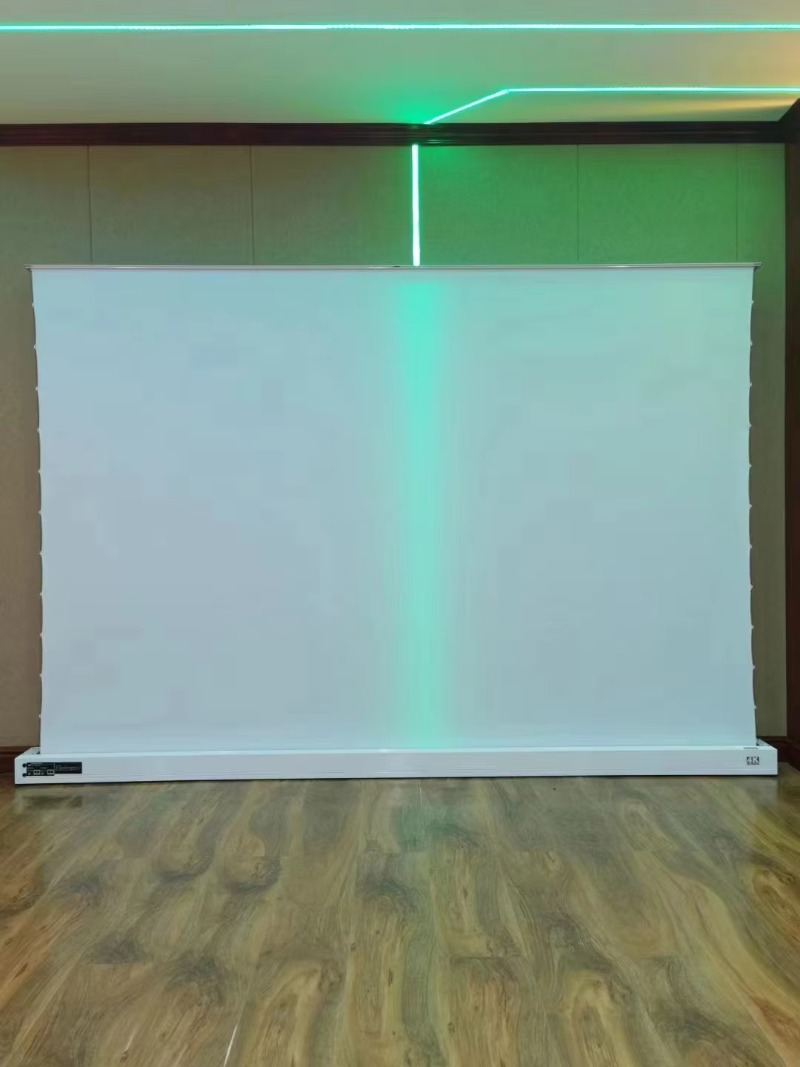 2026 Electric Floor Rising Pro - Home Cinema Flooring 评论和价格
