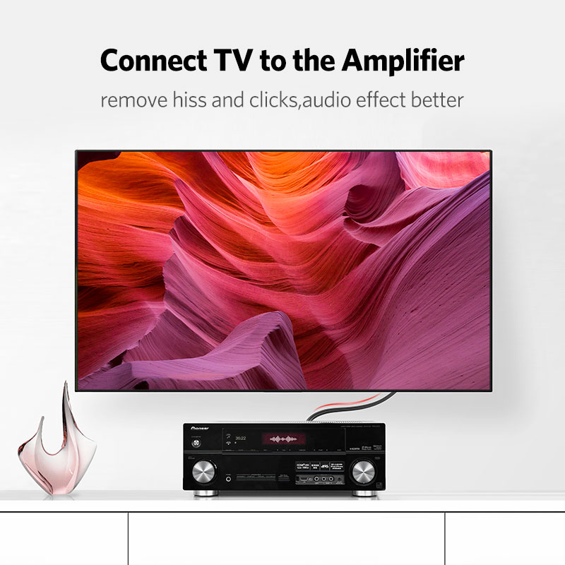 UGREEN 2RCA to 2 RCA Male to M - Home Cinema Dvd 评论和价格