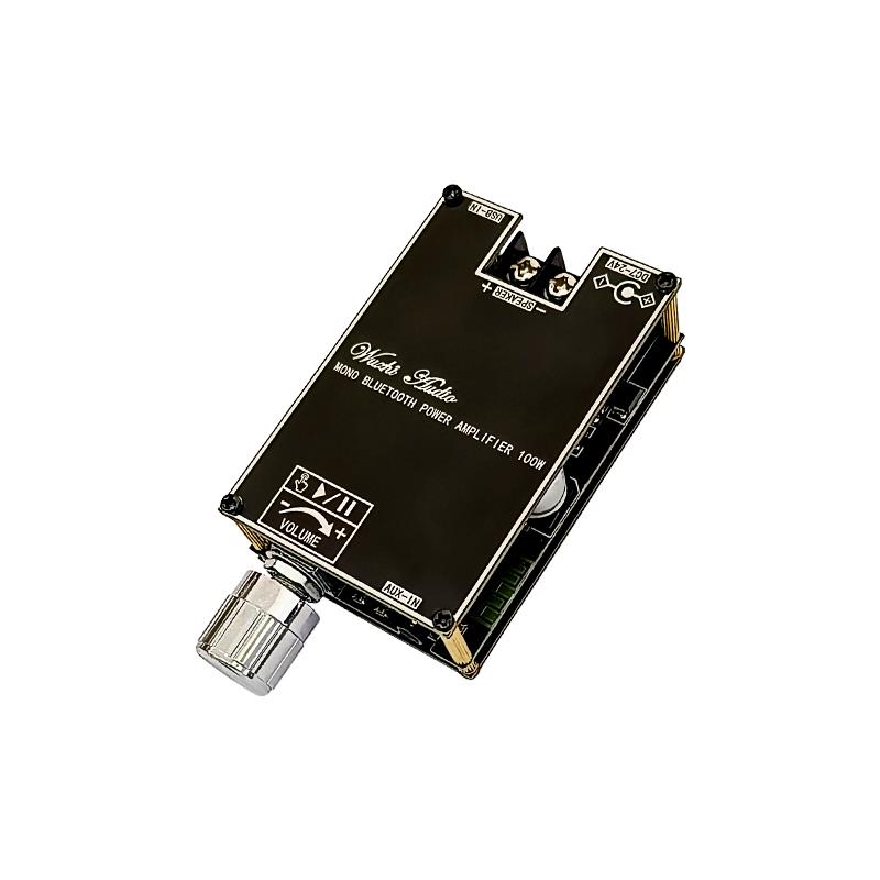 Bluetooth 5.1 TPA3116 D2 Mono  - Home Cinema Heos 评论和价格